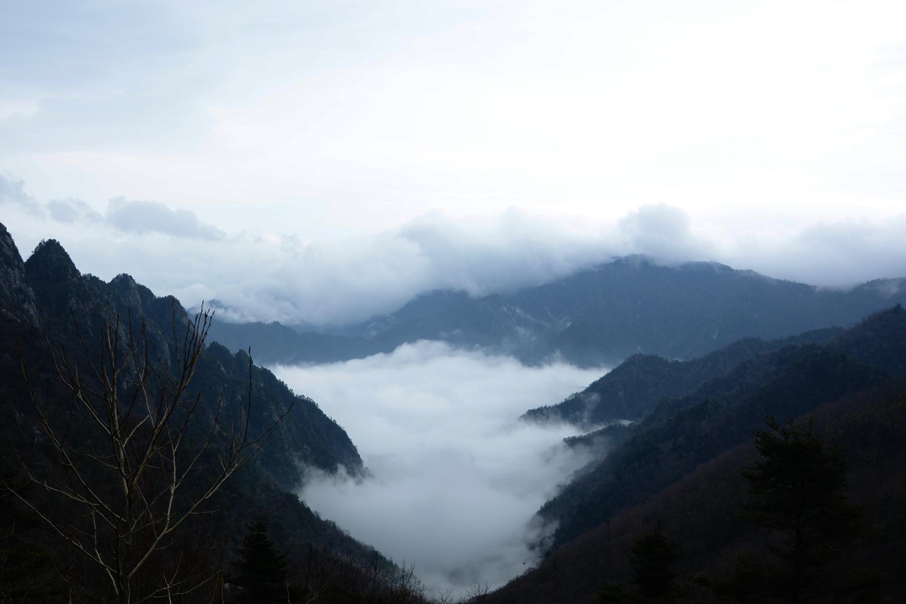 从略高于下板寺的观景平台上俯瞰山谷